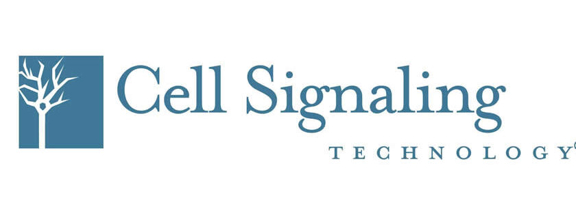 CST Logo