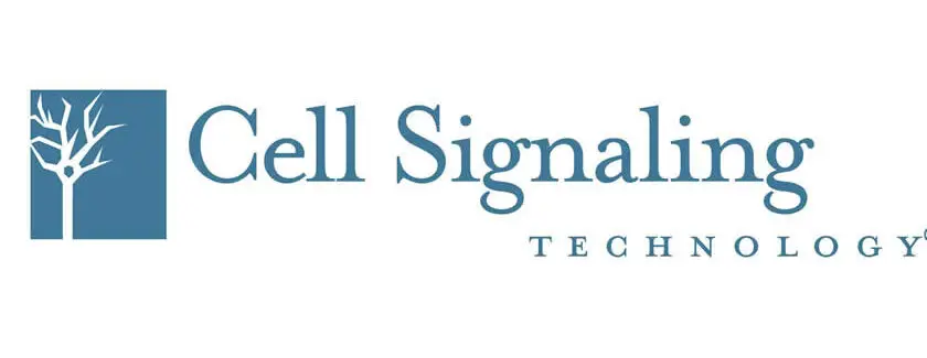 CST Logo